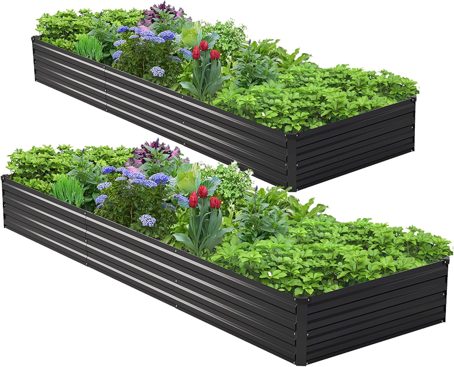 Planter Raised Metal - 2個セット 10x3x1フィート 亜鉛メッキ仕上げの高床式菜園キット、野菜、花、ハーブ用の金属製プランターボックス、耐久性のある防錆パティオガーデニングベッド、黒