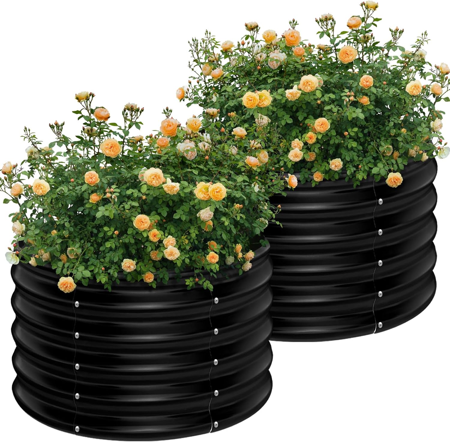 Planter Raised Metal - 2パック 2x2x1.5フィート 丸型亜鉛メッキ上げ底菜園用プランターボックス 屋外用金属製野菜栽培箱 スチール製上げ底菜園 黒色