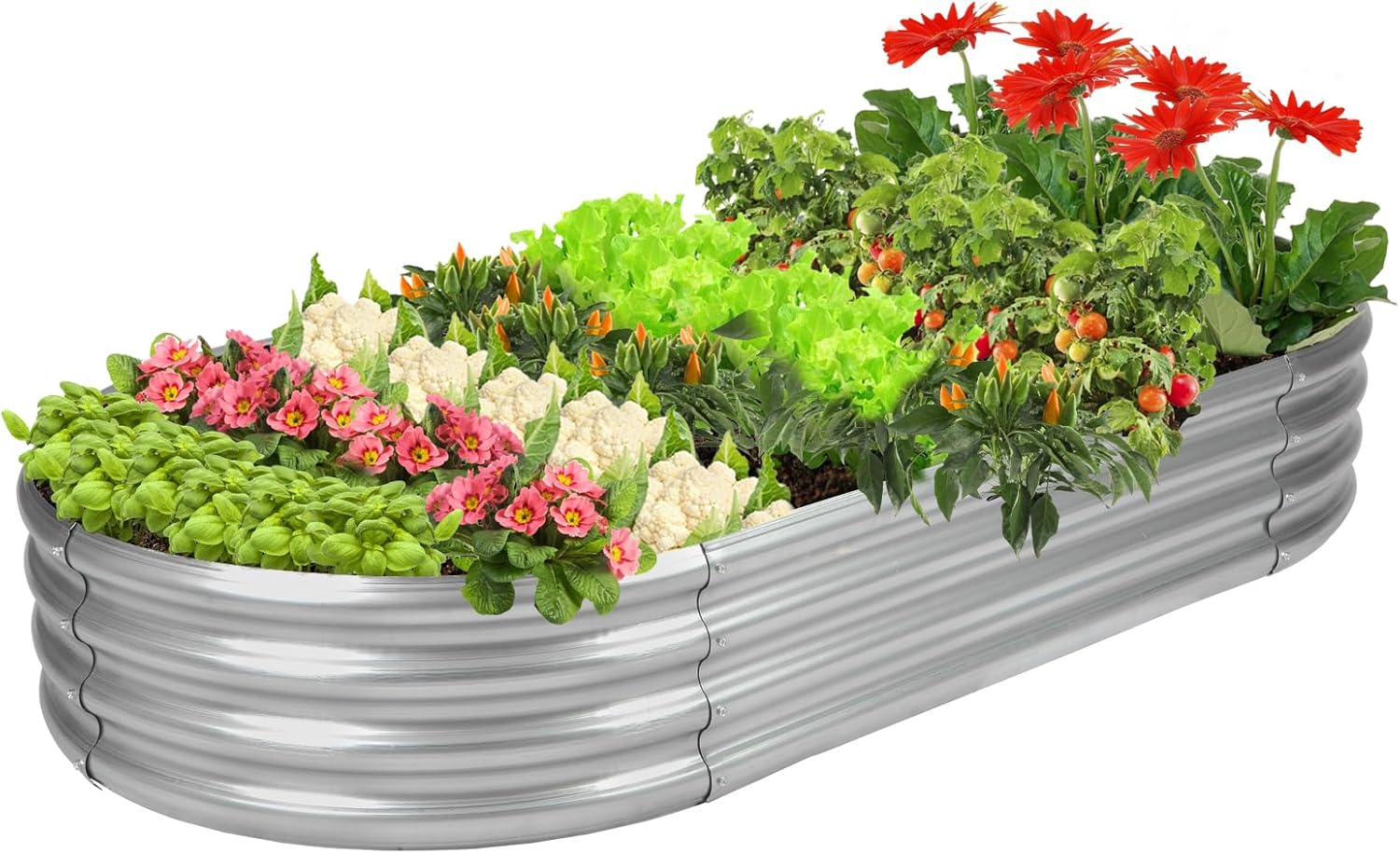 Planter Raised Metal - GRS認証取得済み亜鉛メッキプランターボックス屋外用、6.5フィート楕円形耐腐食性金属製ガーデンベッドプランター、野菜・花・ハーブ用再生素材プランター（シルバー）